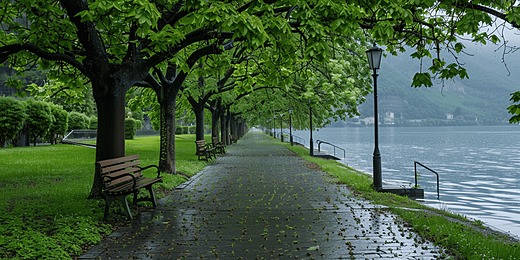 Tree-lined path with warm light, ideal for a calm walk